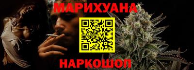 индика Кингисепп