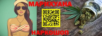 индика Кингисепп
