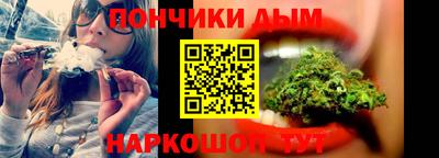 индика Кингисепп