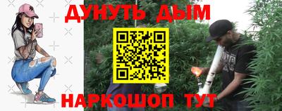 индика Кингисепп