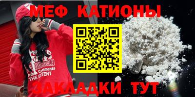 индика Кингисепп