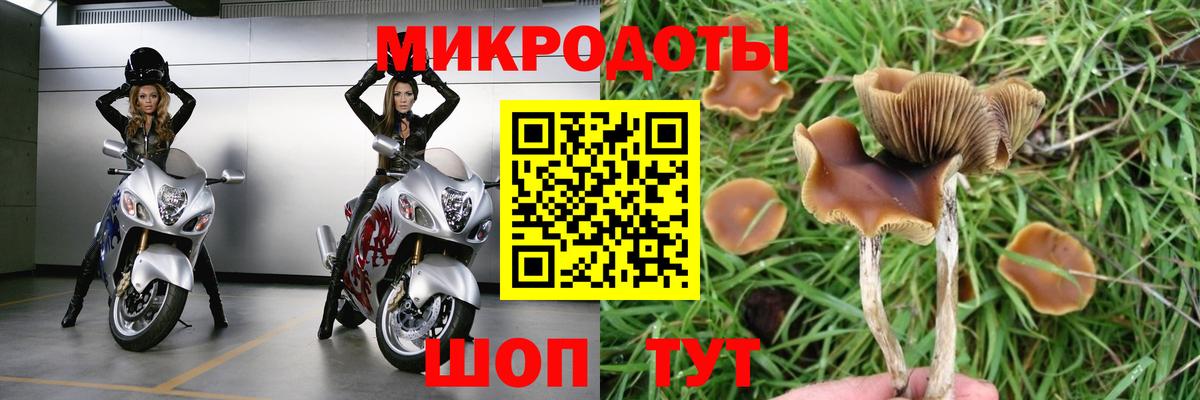 Псилоцибиновые грибы ЛСД Кудрово