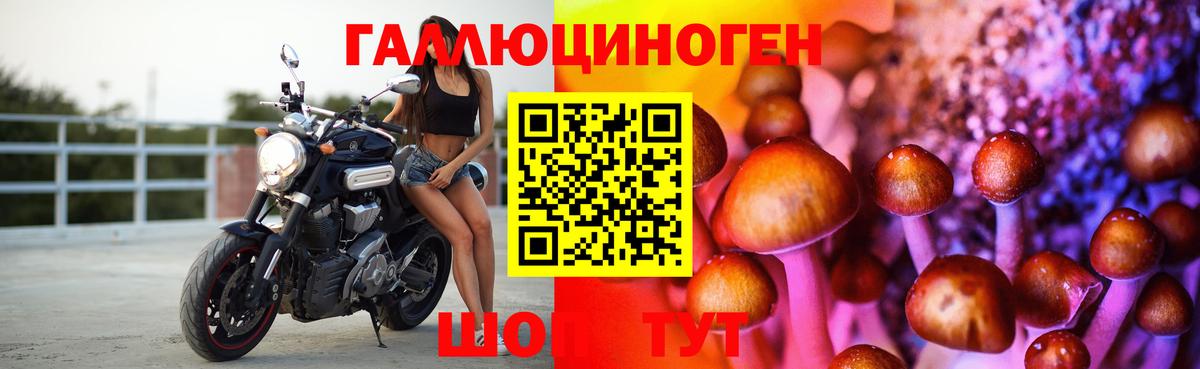 Псилоцибиновые грибы Psilocybe  Вход с VPN  Кудрово 